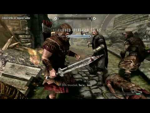 Skyrim - Battle for Solitude