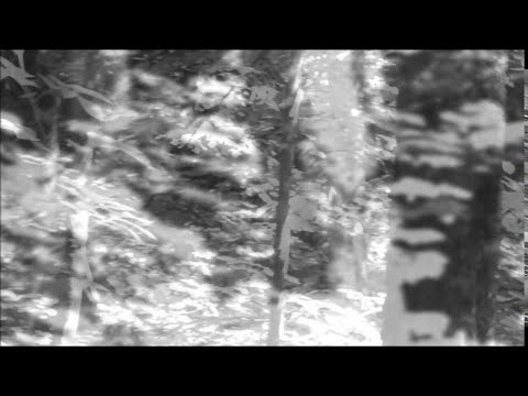 Koslif Podcast 004 [Amazon's Lost Tribes Dedication] #Techno #DeepTechno #HypnoticTechno