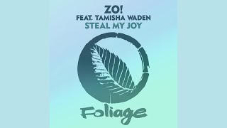 Zo! feat.Tamisha Waden - Steal My Joy (Opolopo Remix)