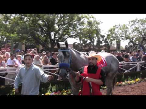 Creative Cause - The Kentucky Derby