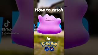 HOW TO CATCH DITTO THIS MAY IN POKEMON GO #pokemongo #pokemon #ditto #shortsfeed