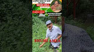 Download lagu Miraculous Benefits of Bhumi Amla | Boost Your Health Naturally mp3 Download lagu Miraculous Benefits of Bhumi Amla | Boost Your Health Naturally mp3
