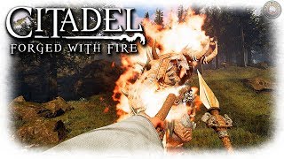 The Journey Begins | Citadel Forged With Fire Gameplay | EP2