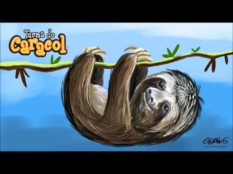 A Preguiça video