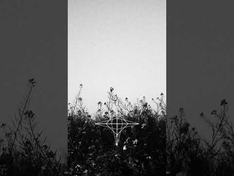 Snow Banks - R.I.P Carri