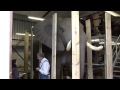What It Takes To Stuff An Elephant