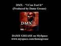 DMX - I Can Feel It