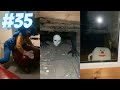Soggy Nugget Tiktok Compilation Official Archives Part 35