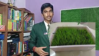 ECOCARBON BIOMAT SYSTEM(ECBS)_WINSTEM2026