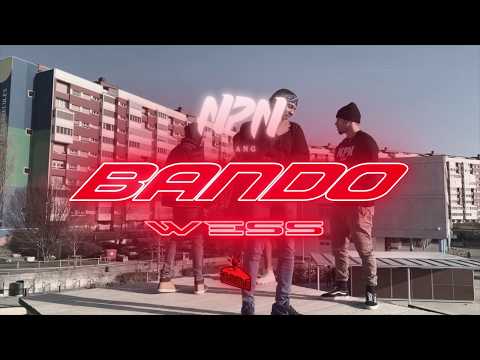 NPN TV and O Mano da Gringa