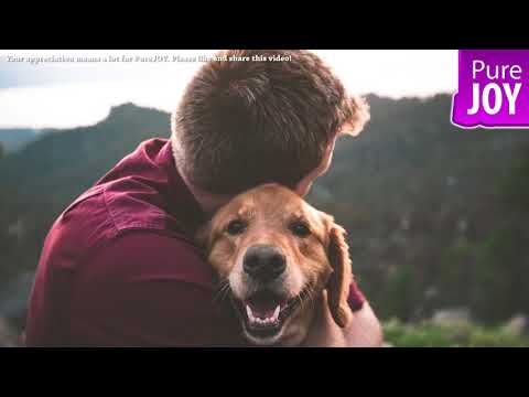 Abraham Hicks 💜 Tips About Pets!