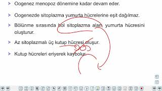 Eğitim Vadisi 11.Sınıf Biyoloji 16.Föy Dişi Üreme Sistemi Konu Anlatım Videoları