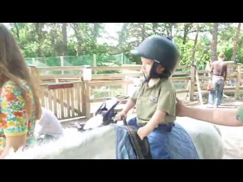 my son riding a horse for the first time