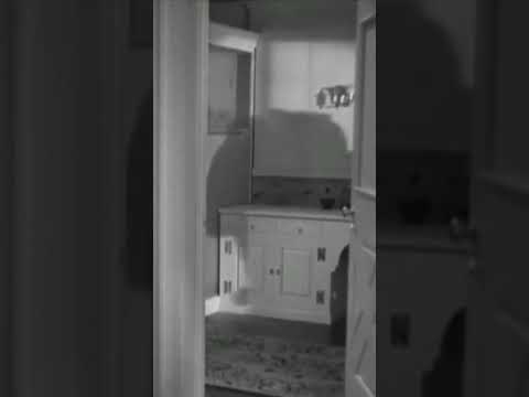 Cary Grant ✨Bringing Up Baby (1938) 🎬🐆