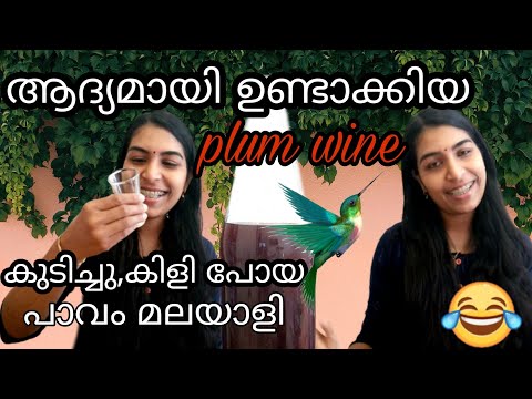 How To Make Organic Plum Wine At Home|Christmas Special Wine