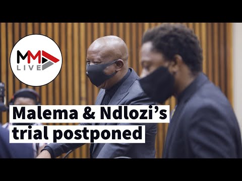 Malema &amp; Ndlozi trial, Evidence discrepancies claimed as original investigating officer grilled