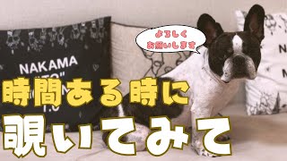 新しくブログを開設したのでお知らせです😊