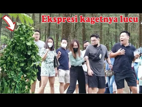 mesra-sekali-teriakannya-bushman-prank-very-funny
