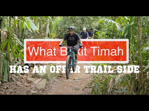 Bukit Timah MTB Trail Secret Feature