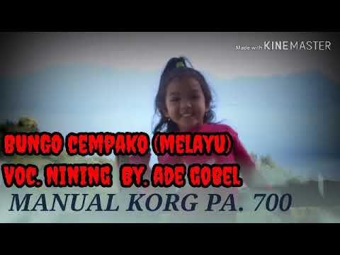 Bungo cimpako (lagu benkalis)