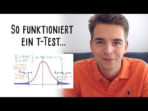 How does the t-test work? 📈