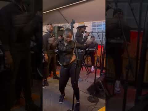 TBM band in live concert