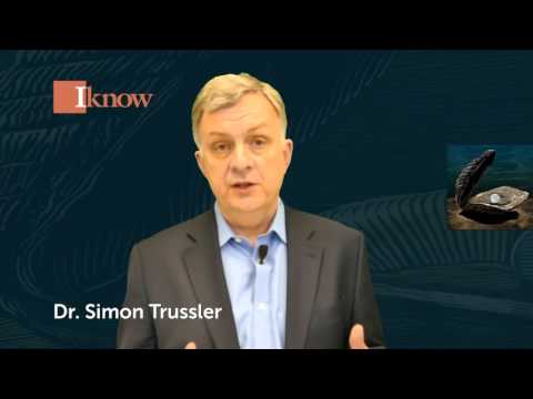 IknowINSIGHTS video