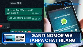 Cara Ganti Nomor WhatsApp dengan Tanpa Menghilangkan Chat di Nomor yang Lama
