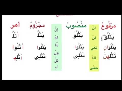 Madina 2   Lesson 59   Understanding weak verbs in منصوب and مجزوم Forms with Light harf and Lightes