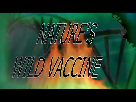 #BZKPROJECT2020 Quarantine Project - Nicolò Paracchini