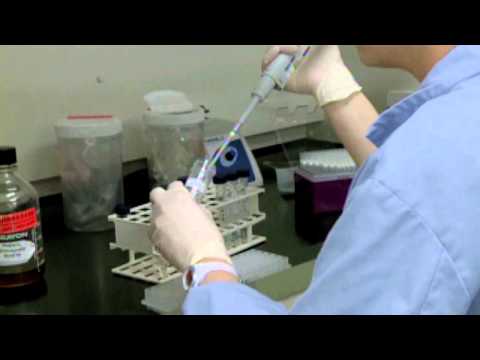 How the DNA Fingerprint Ancestry Test Works