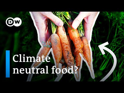 Permaculture: Producing food without destroying the planet