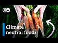 Permaculture: Producing food without destroying the planet DEFAULT Thumbnail