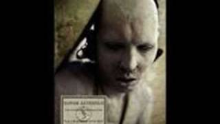 Sopor Aeternus & The Ensemble Of Shadows - The Dreadful Mirror