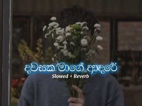 Dawasaka Mage Adare ( ඉටි රූපේ ) | දවසක මාගේ ආදරේ - [ SLOWED + REVERB ]