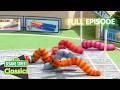 The Worm Summer Games Sesame Street Classics Full Episode
