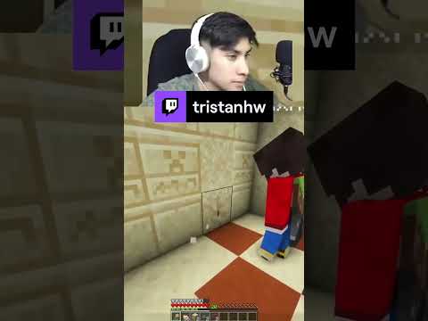 The #New Room #Secret of the #Minecraft #Pyramid 😱 |  tristanhw from #Twitch