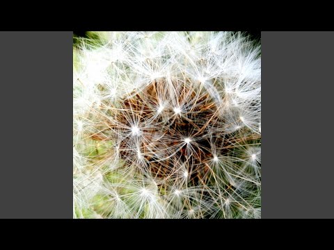 download lagu mp3 mp4 Arran Miles Artist, download mp3 Arran Miles Artist free download, download mp3 Arran Miles Artist