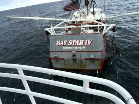 Scallop Boat Tunafishing.AVI