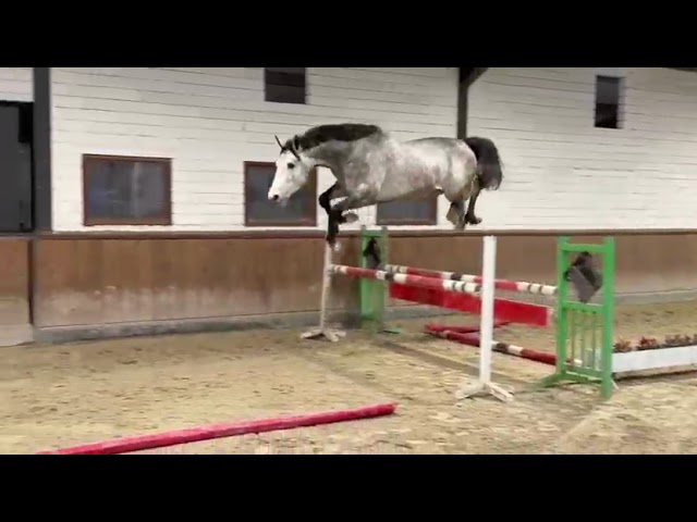 Jumping at home