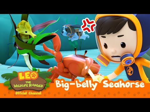 Witness21  2023 02 18