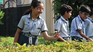 RPS International School Video