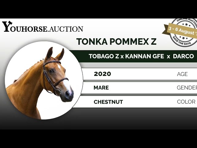 Tonka Pommex Z trainingsvideo