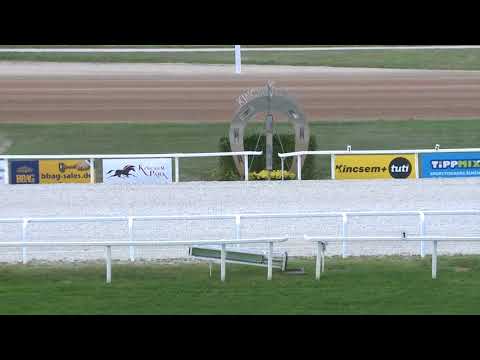 2017.09.01. 4. futam - Agár