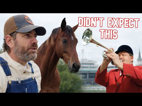 What Happens When a Retired Racehorse Meets Her Past?!