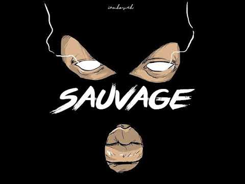 Kalash Criminel X Timal X Badjer Type Beat 2017 "Sauvage" (Prod. by SPZ Beats)