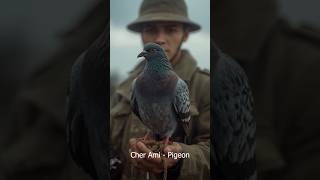 Cher Ami - A Pigeon Who Saved 194 American Soldiers During World War | #shorts #shortvideo