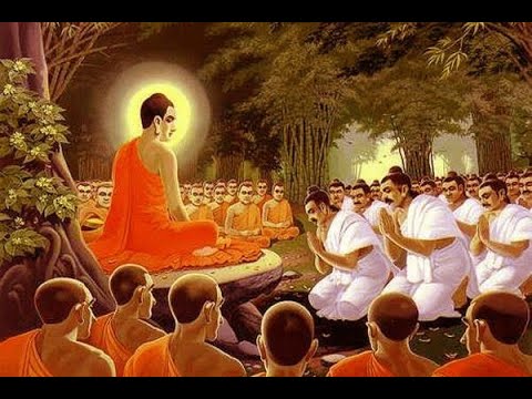 SB 4.7.44 by H.G. Shatrughna Priya Devi Dasi