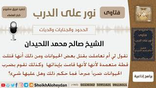 صورة ماحكم قتل وضرب الحيوانات ضرباً مبرحاً؟ الشيخ صالح محمد اللحيدان