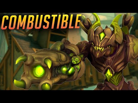 THE DRAGON IN RANKED | Drogoz Paladins Gameplay